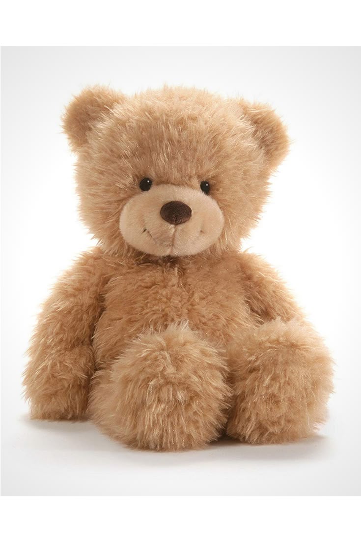 Teddybear cute fluffy friend _ gift ideas…